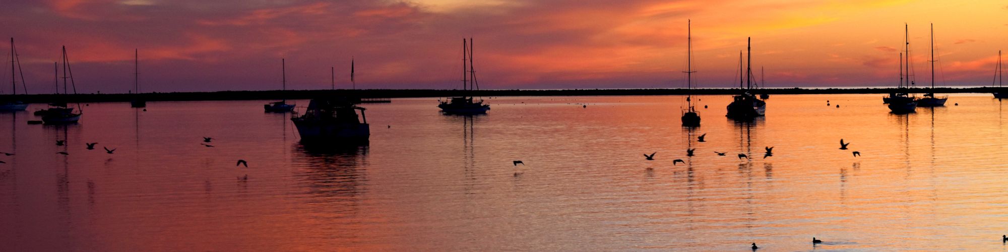 A scenic view of a colorful sunset over calm water with several anchored sailboats and birds.