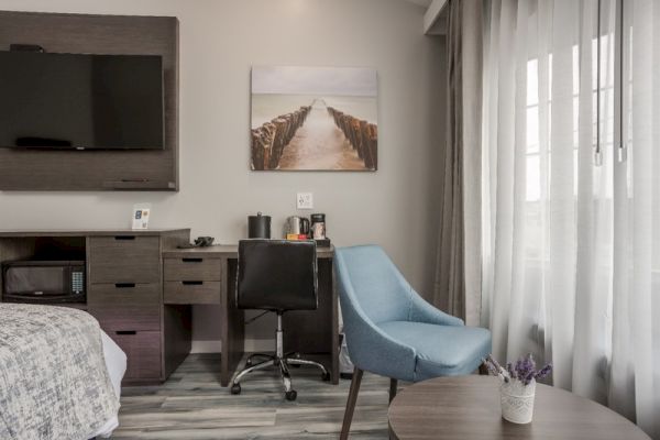 This image shows a modern hotel room with a TV, desk, chair, and decor. A window with curtains is on the right, letting in natural light.