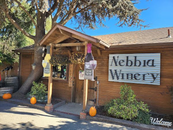 This image shows the entrance of a winery with a wooden sign that reads "Webbia Winery," decorated with pumpkins and hanging wine bottle cutouts by the door.