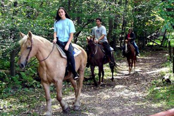 Three individuals riding horses on a forest trail.