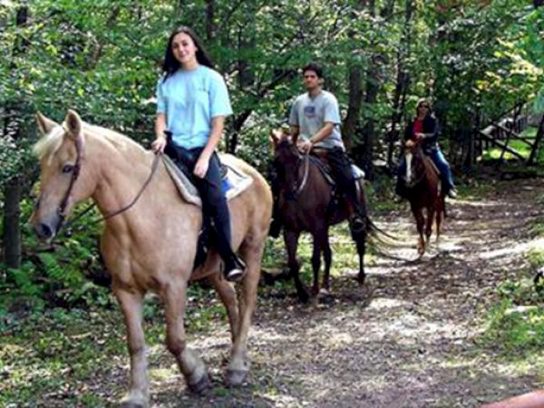 Three individuals riding horses on a forest trail.