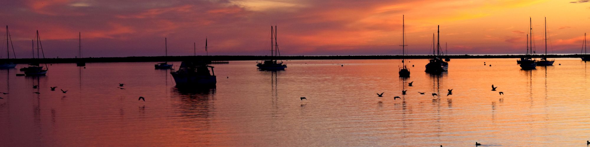 A tranquil sunset over a calm sea with sailboats and birds scattered across the water, painted in vibrant hues of orange, pink, and purple.